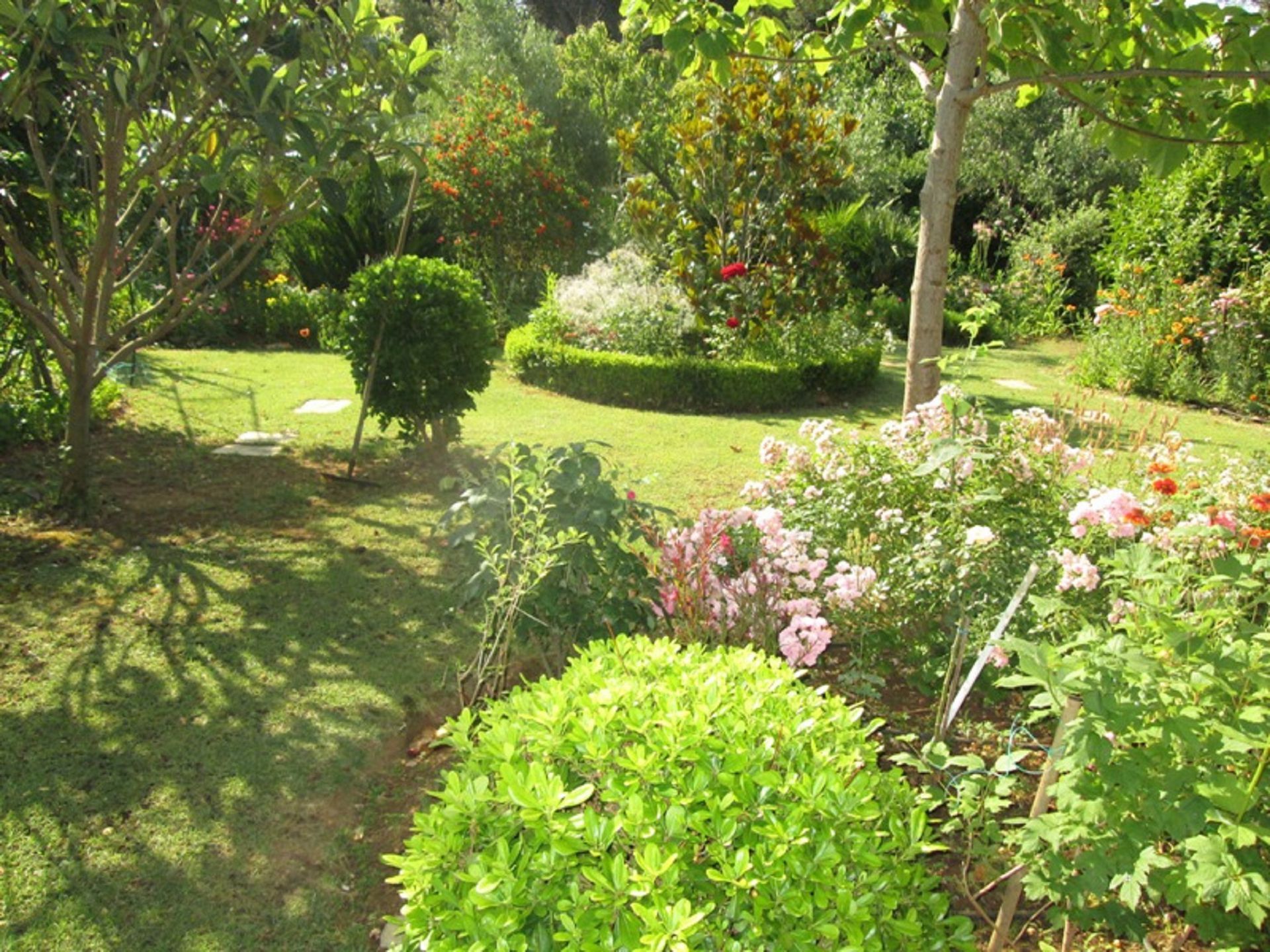 Photo of Apartments Ivo