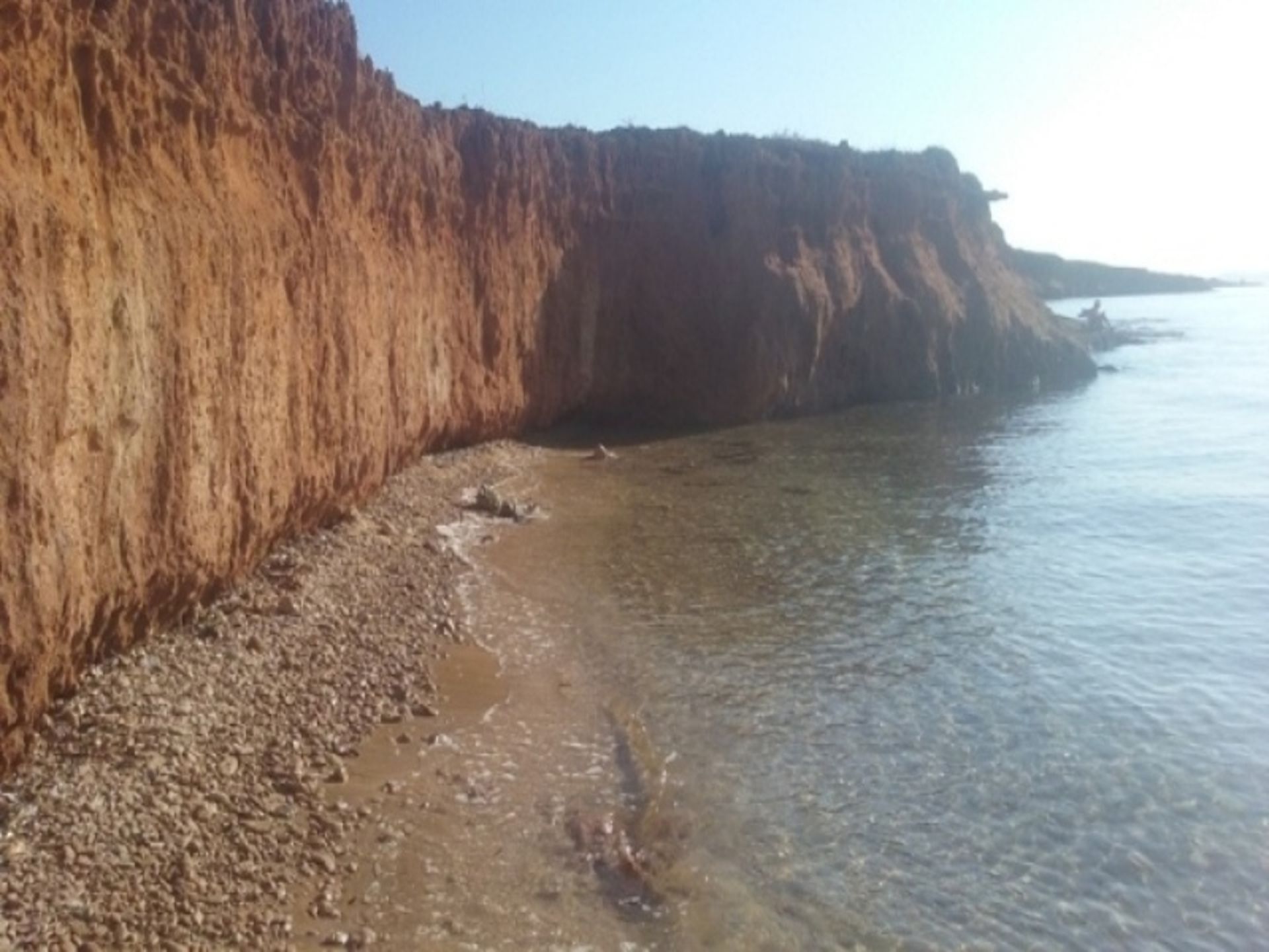 Photo of Apartments Ivo