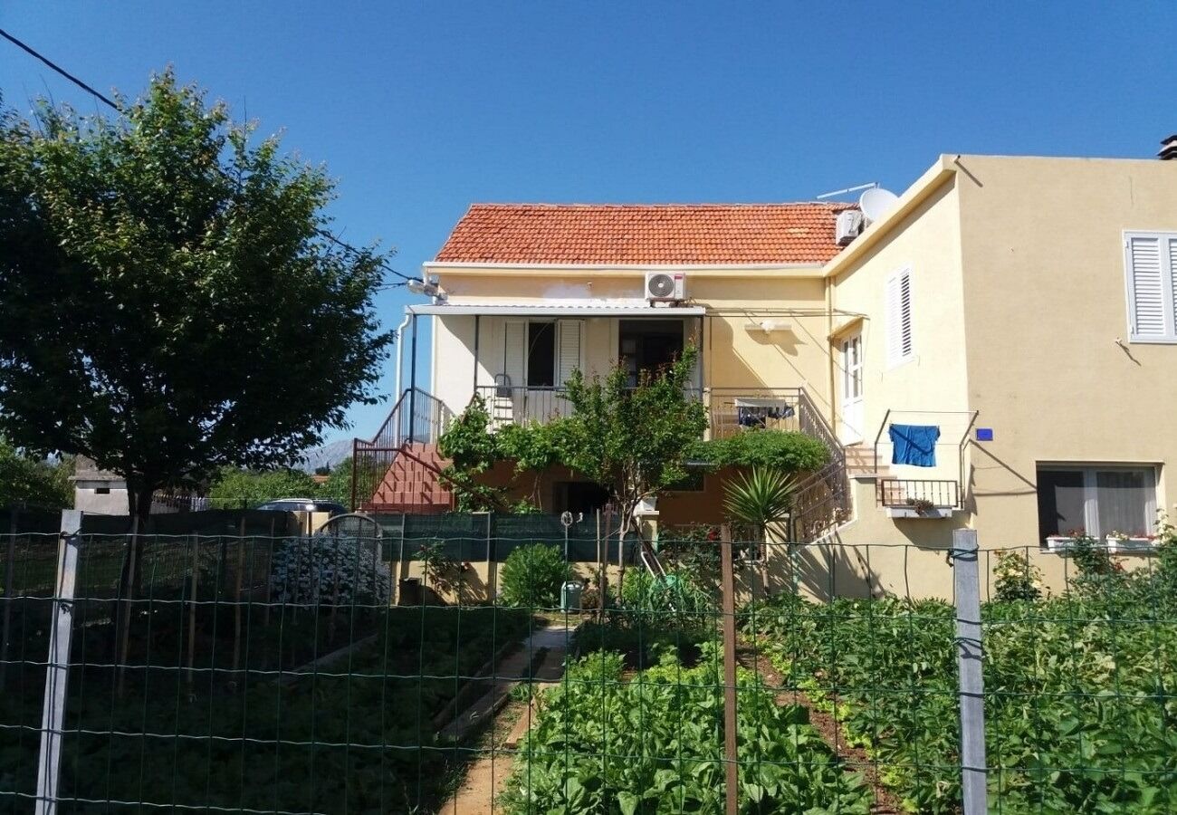 Apartment Ivica 106921-A1
