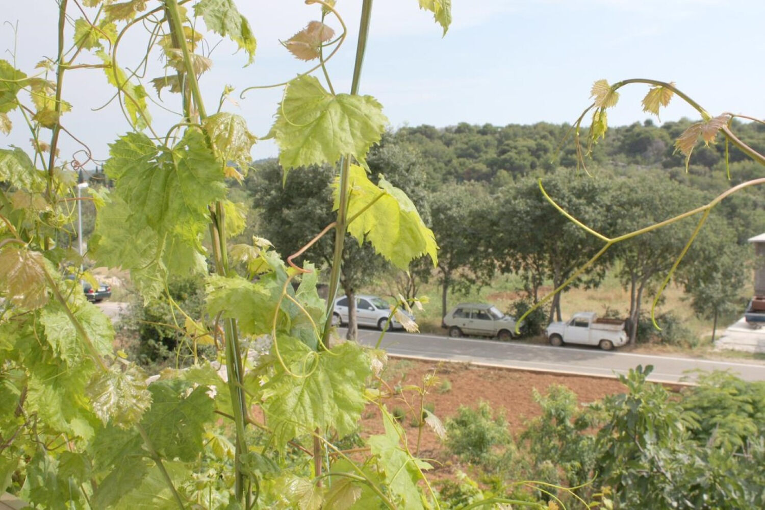 Apartments Slavica 10704-A2