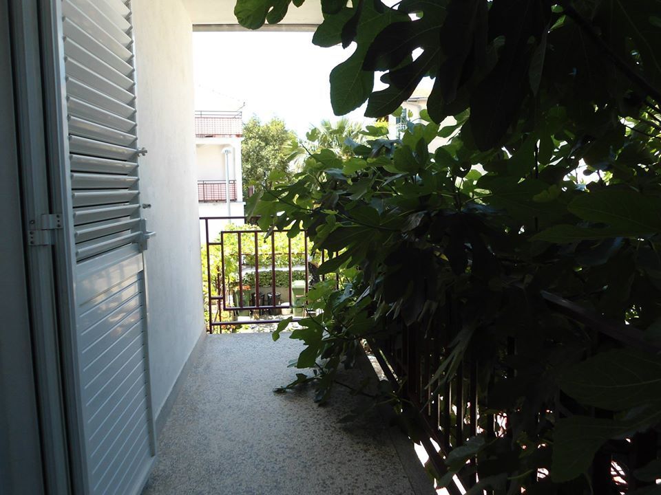 Apartments Marko 107061-A1