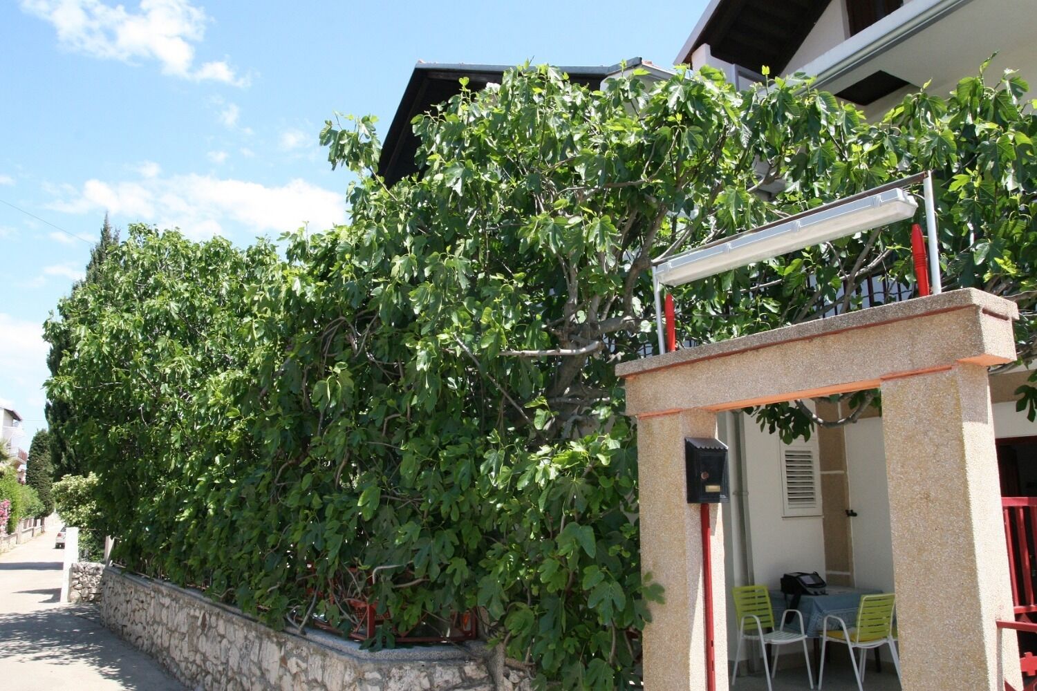 Apartments Marko 107061-A1