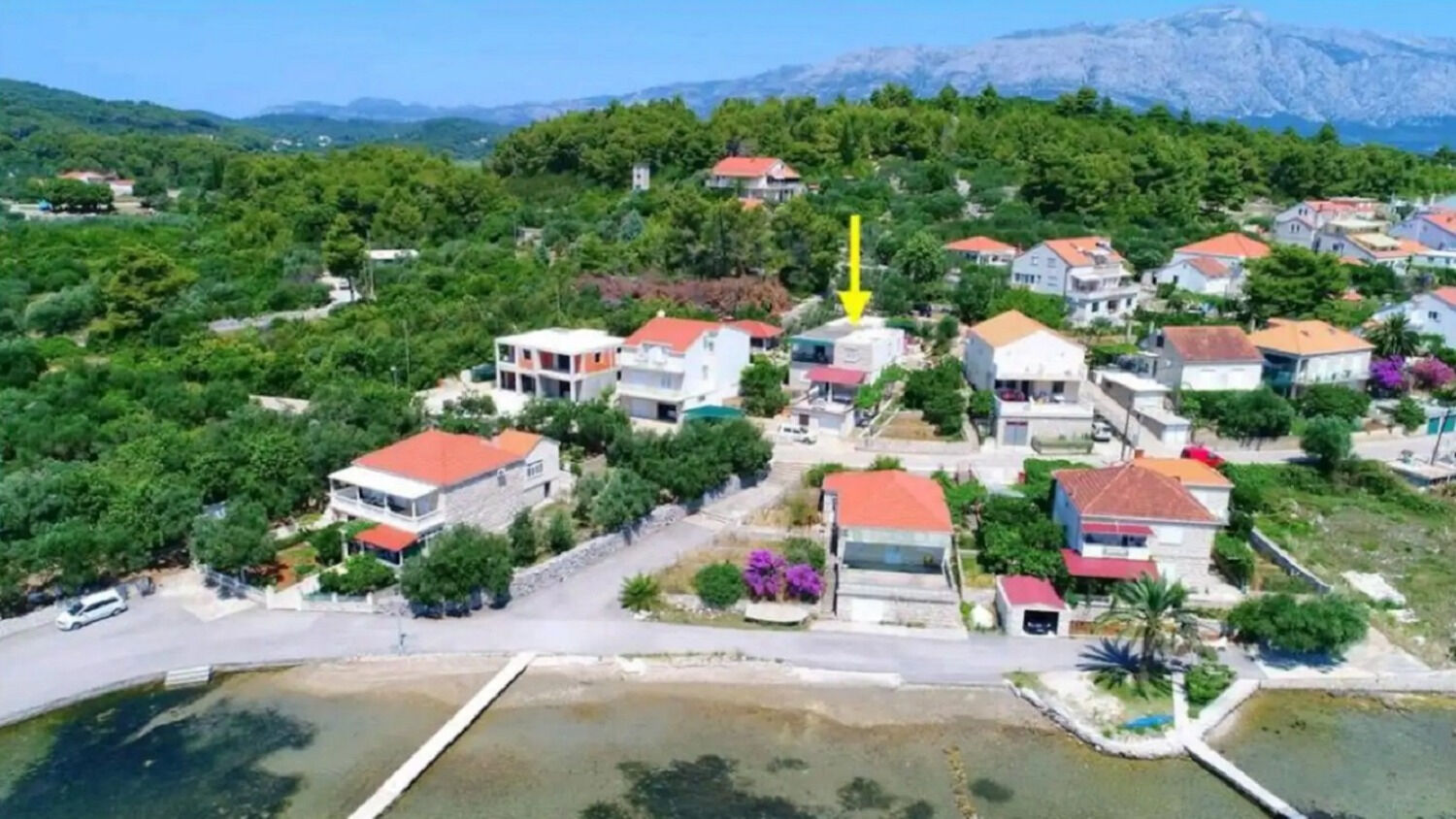 Photo of Apartment Sunny