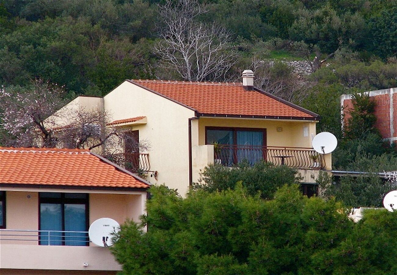 Apartment Bianca 10717-A1