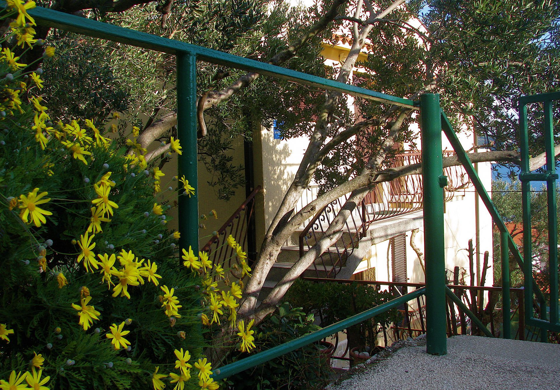 Apartment Bianca 10717-A1