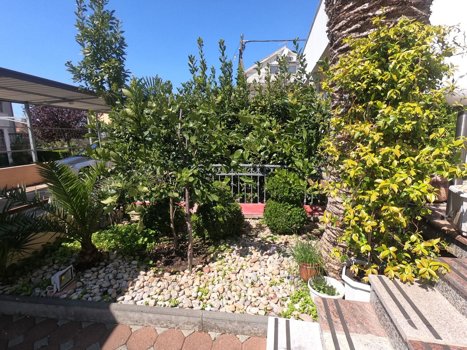 Apartments Ana 107121-A1