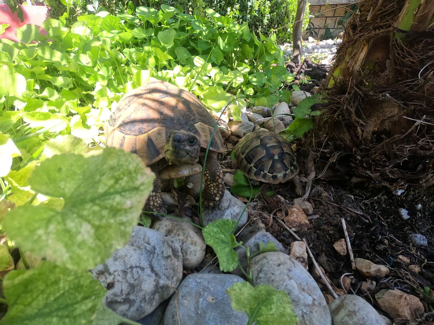 Photo of Apartments Ana