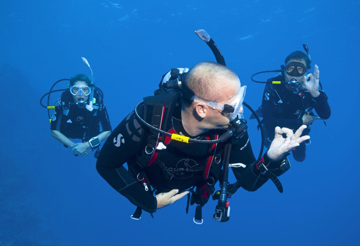 Photo of Apartments Dado