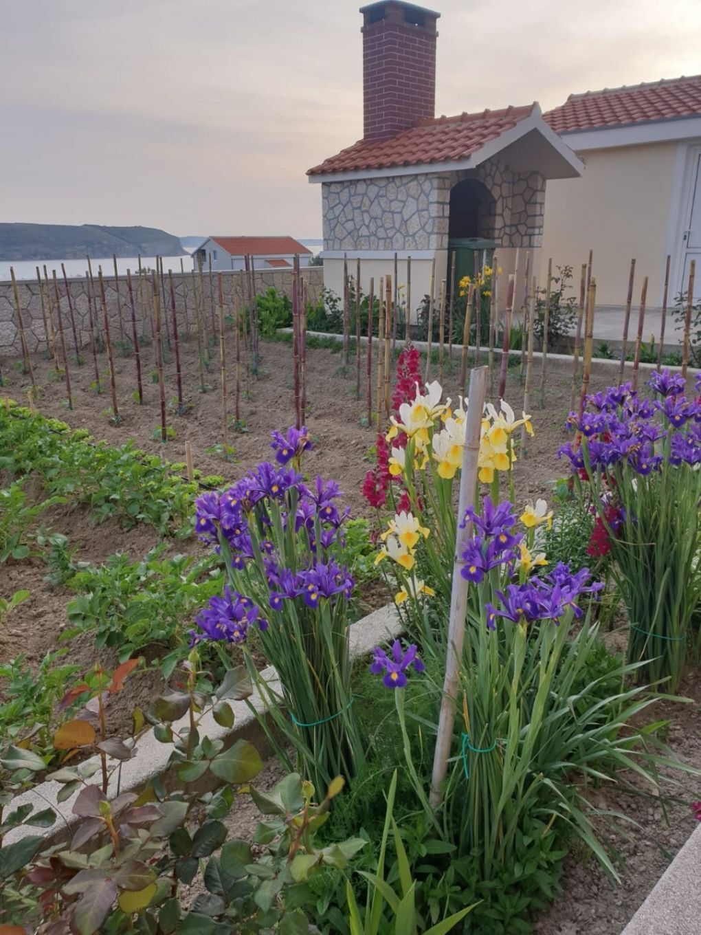 Apartments Adriatic 10725-A1