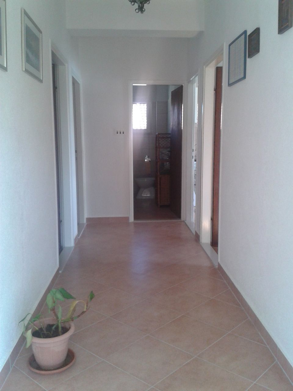 Apartments Ivo 107291-A2
