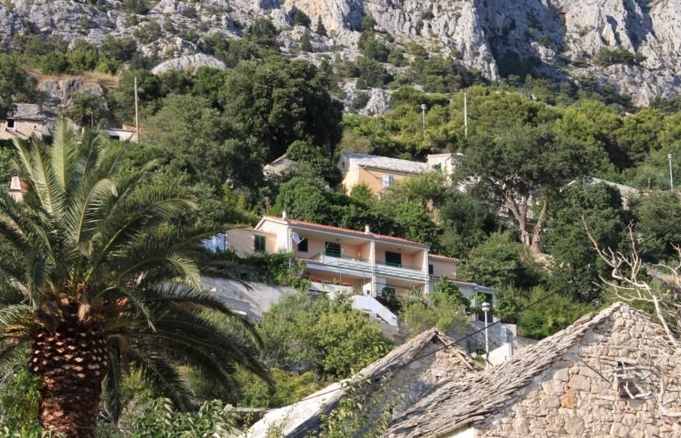 Apartment Ruzmarin 107321-A1