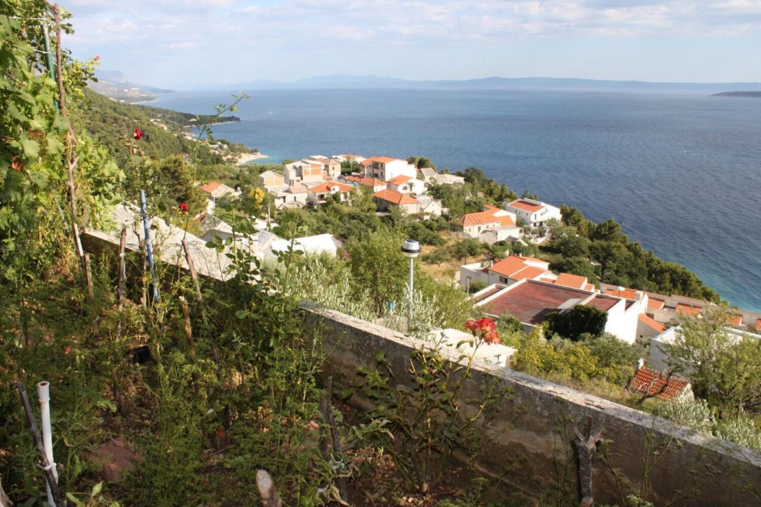 Apartment Ruzmarin 107321-A1