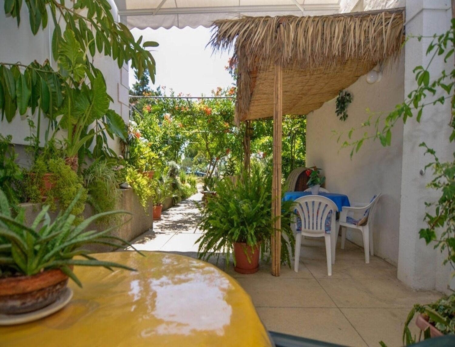 Apartment Rosa 106671-A2