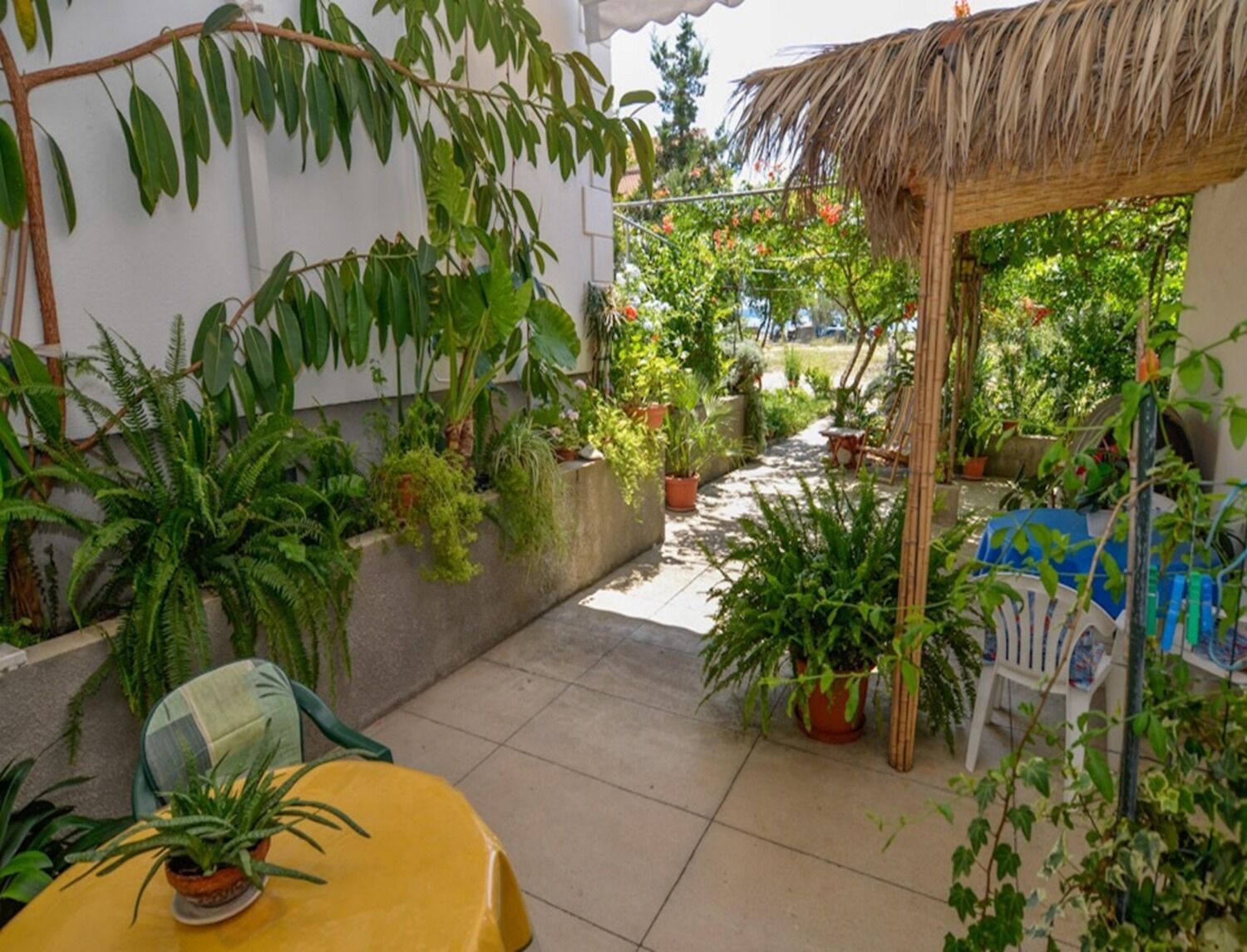 Apartment Rosa 106671-A2