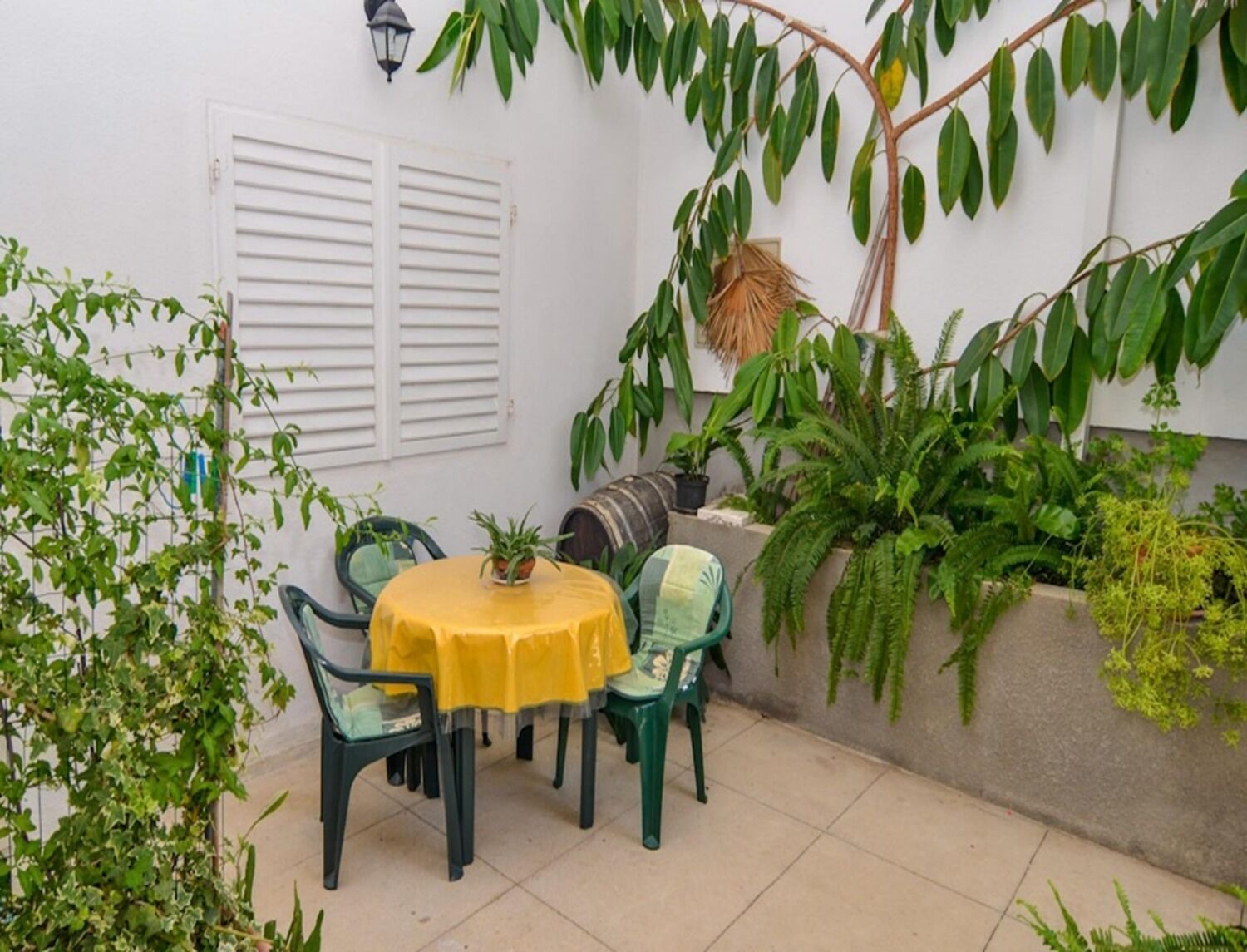 Apartment Rosa 106671-A2