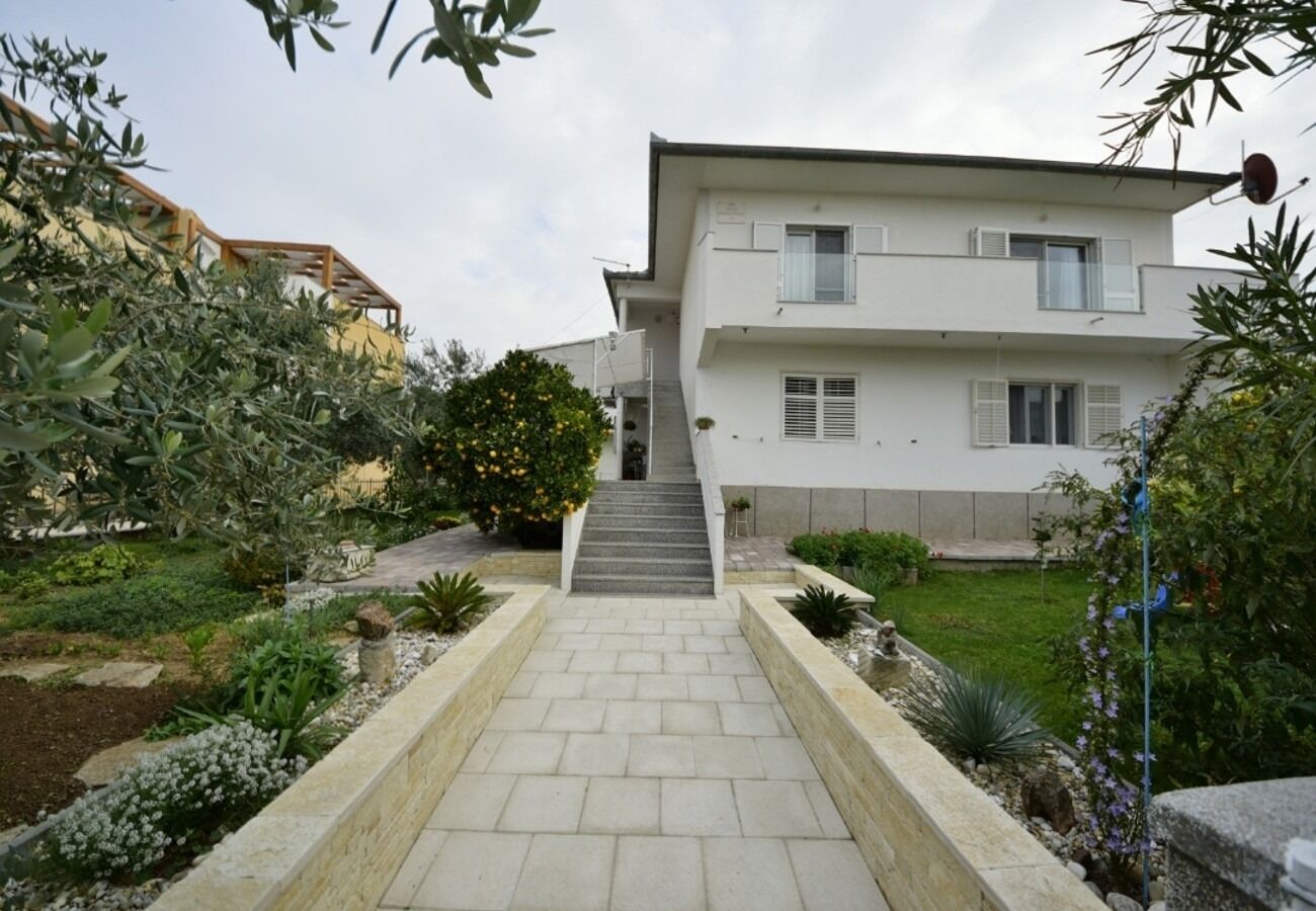 Apartment Sveto Accommodation in Biograd