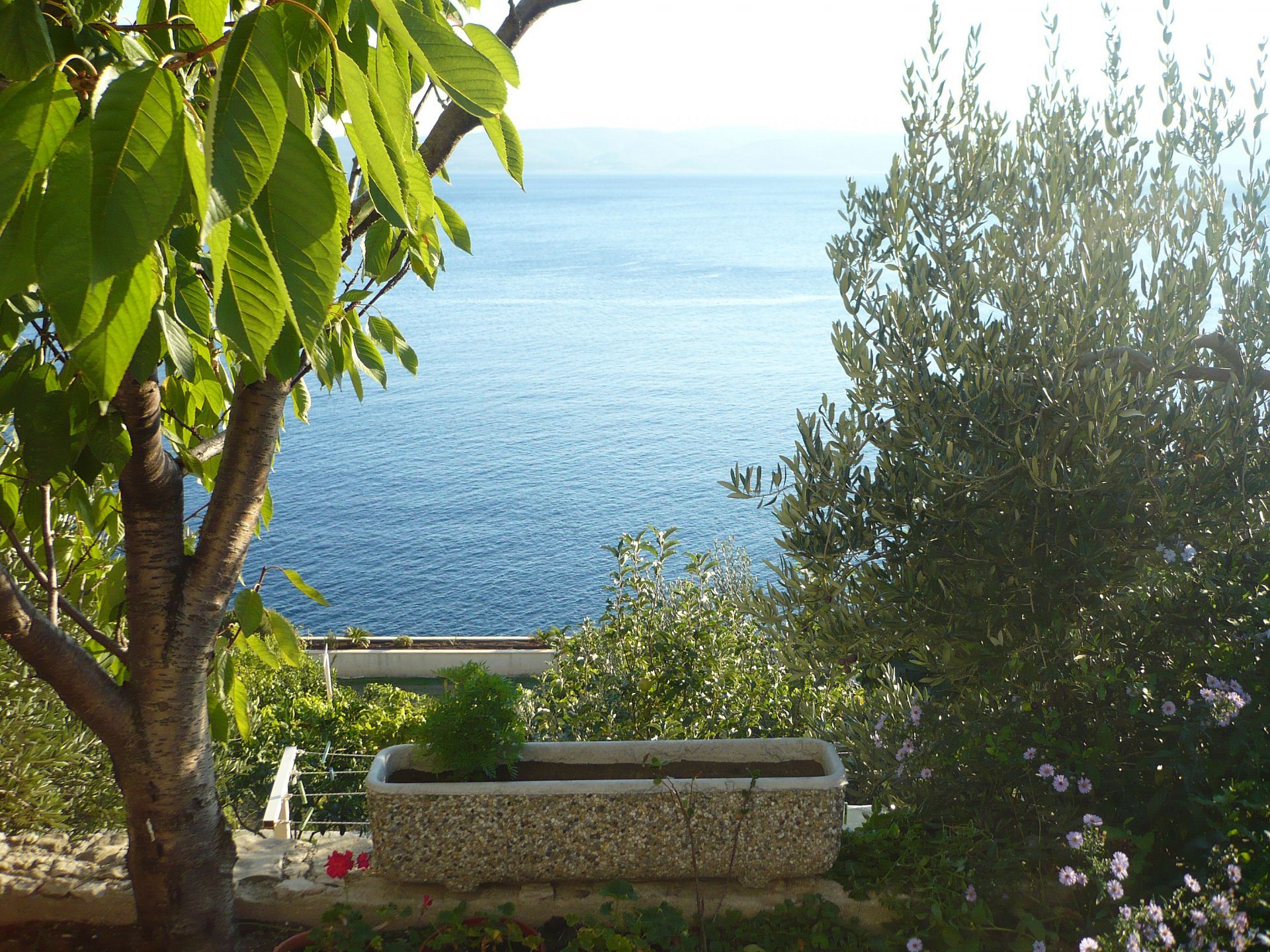 Apartments Mirela 107431-A2