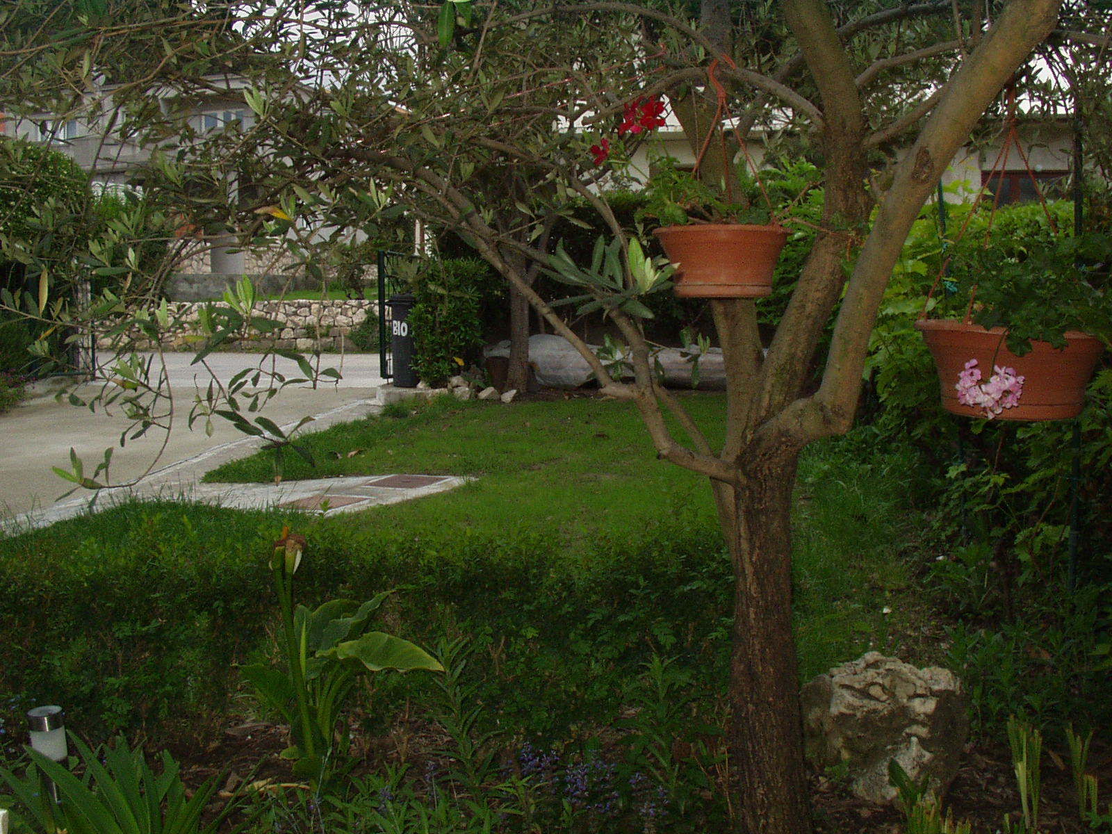 Apartments Franciska & Tihomir: 107451-A2
