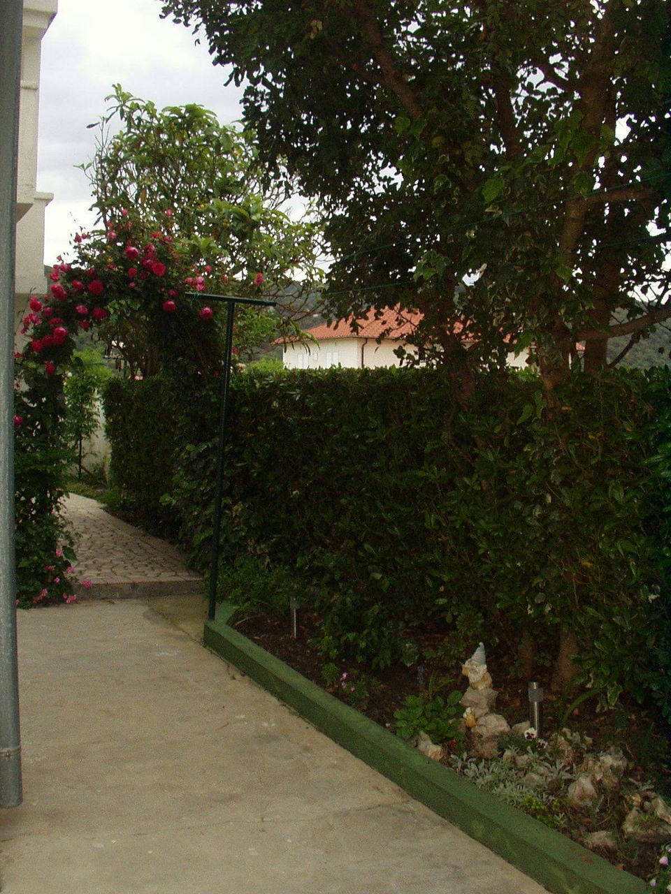 Apartments Franciska & Tihomir: 107451-A2