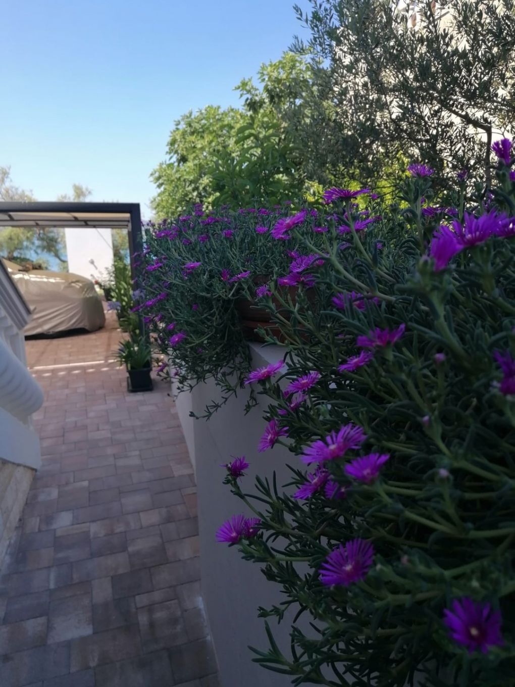 Photo of Apartments Cloe