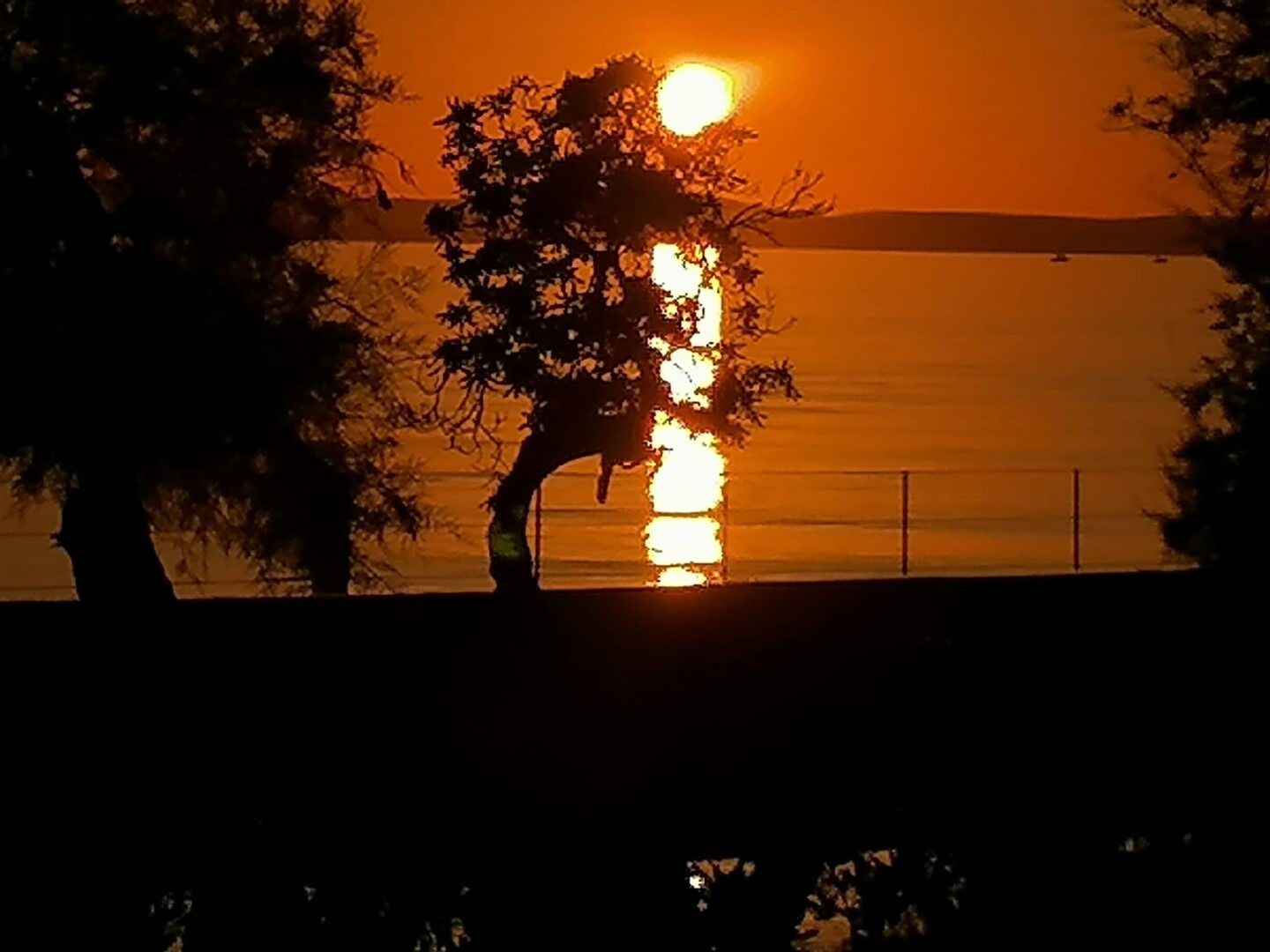 Photo of Apartments Cloe