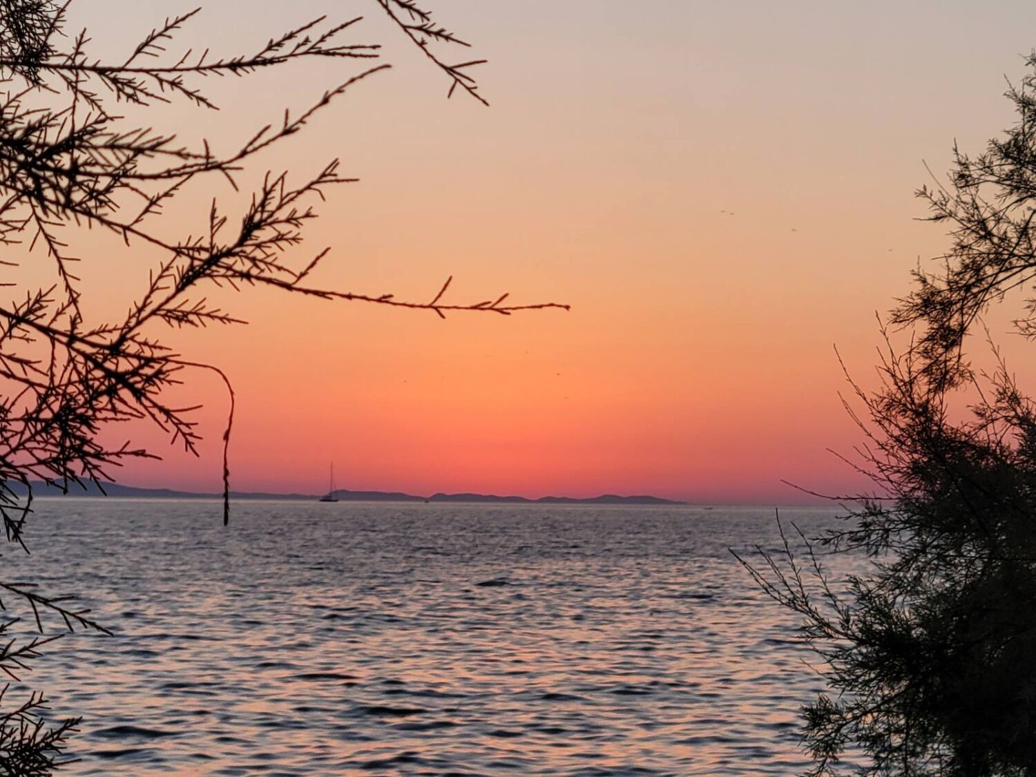 Photo of Apartments Cloe