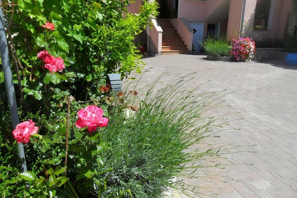 Photo of Apartment Marinka