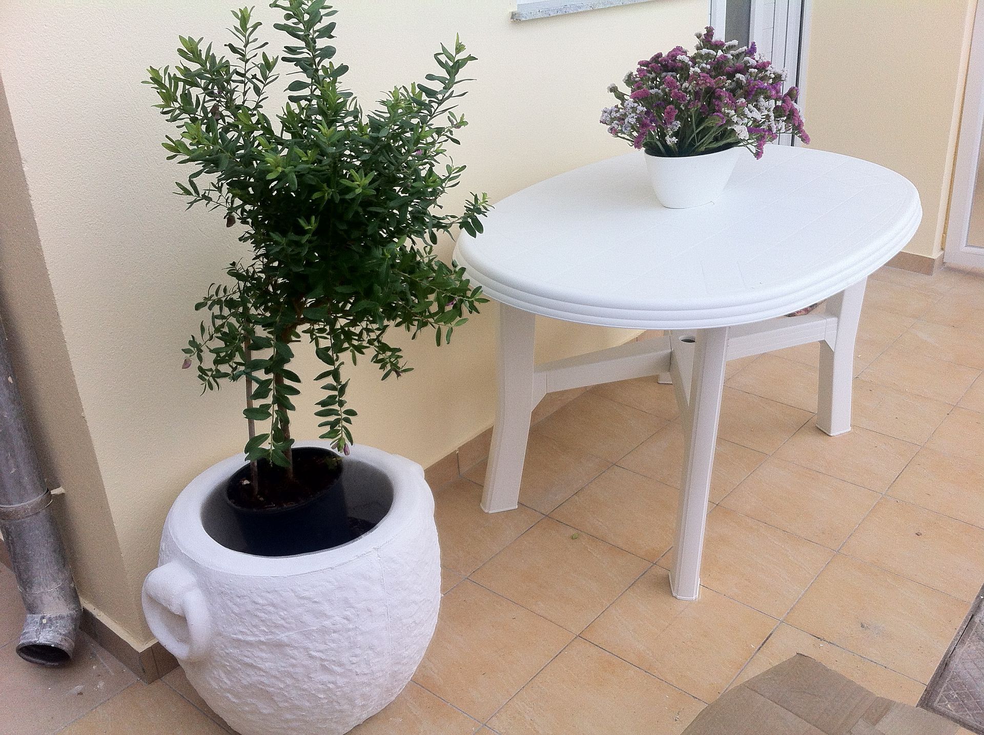 Apartment Kolt 10693-A2