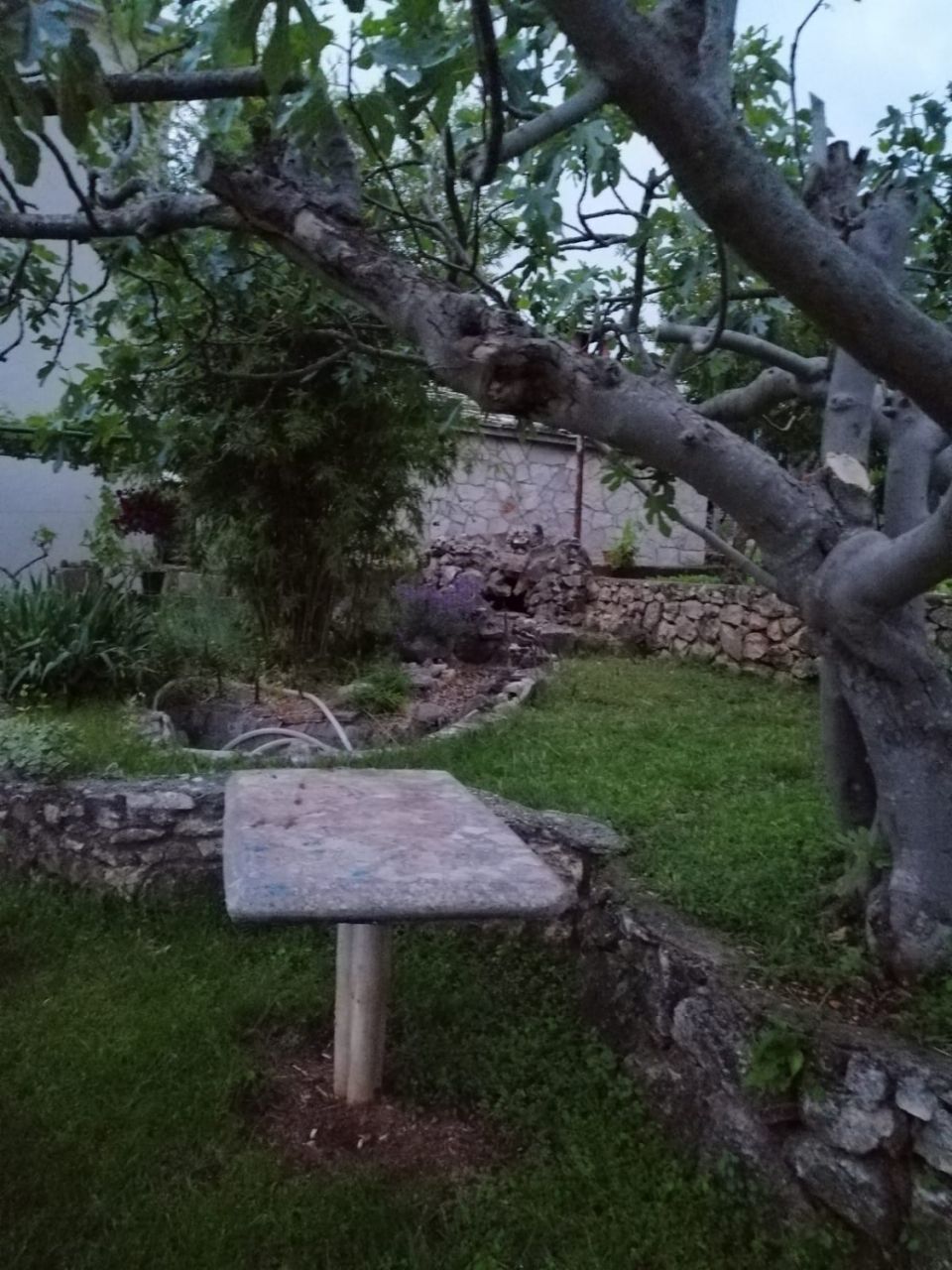 Photo of Apartment Anka