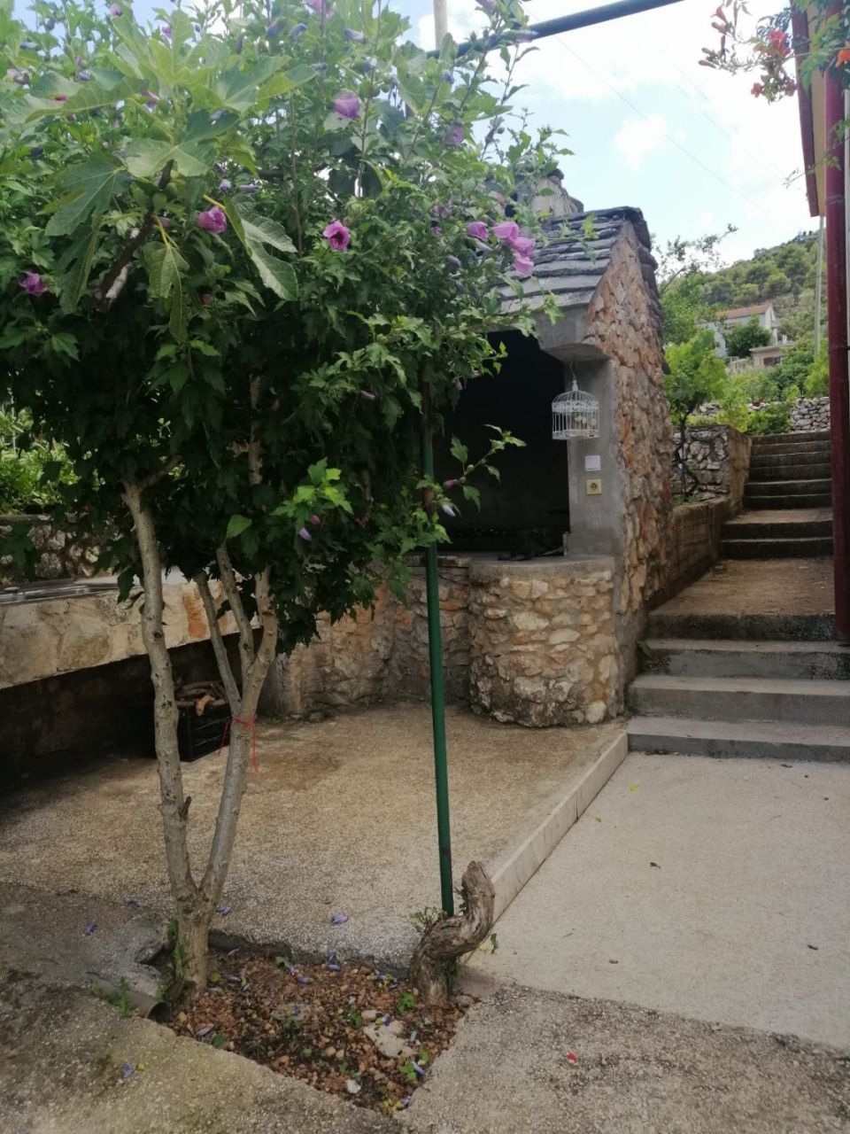 Apartment Anka 107611-A2