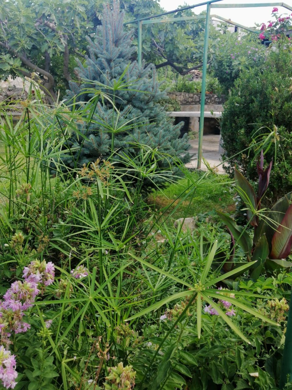 Photo of Apartment Anka