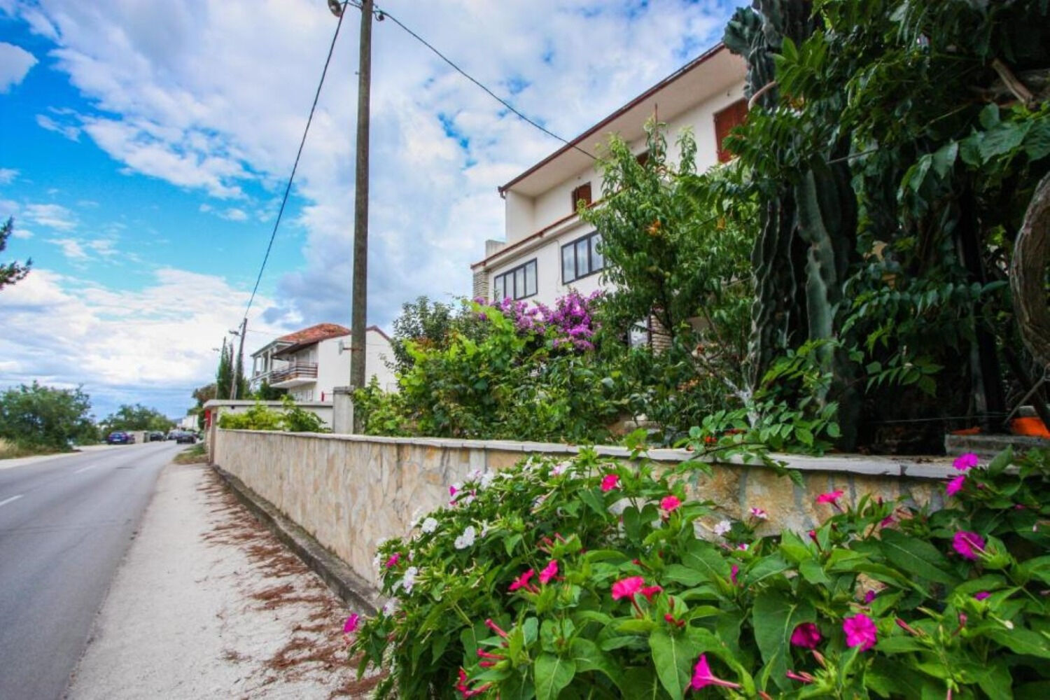 Apartments Žana 107701-A1