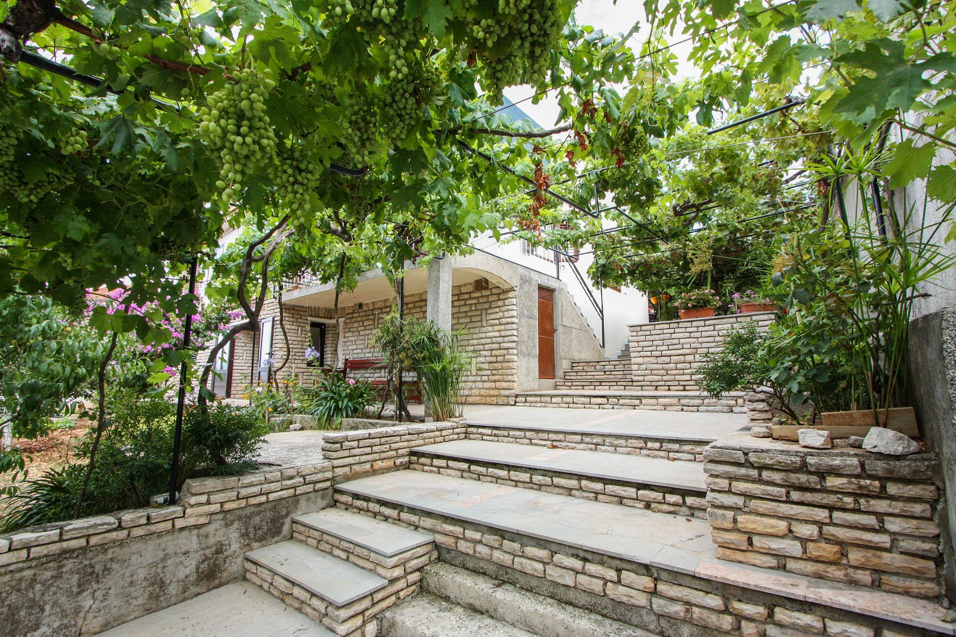 Apartments Žana 107701-A1