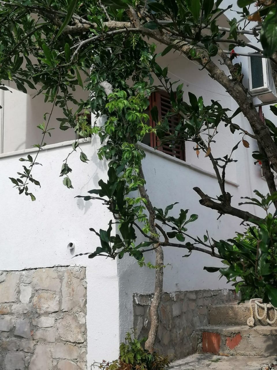 Apartment Goran 10772-A1
