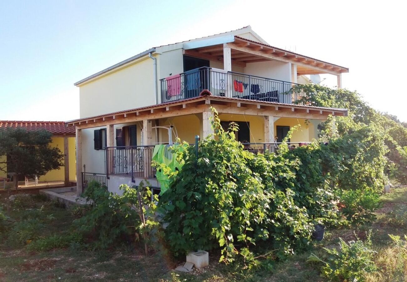 Apartments Ljuba 10777-A2