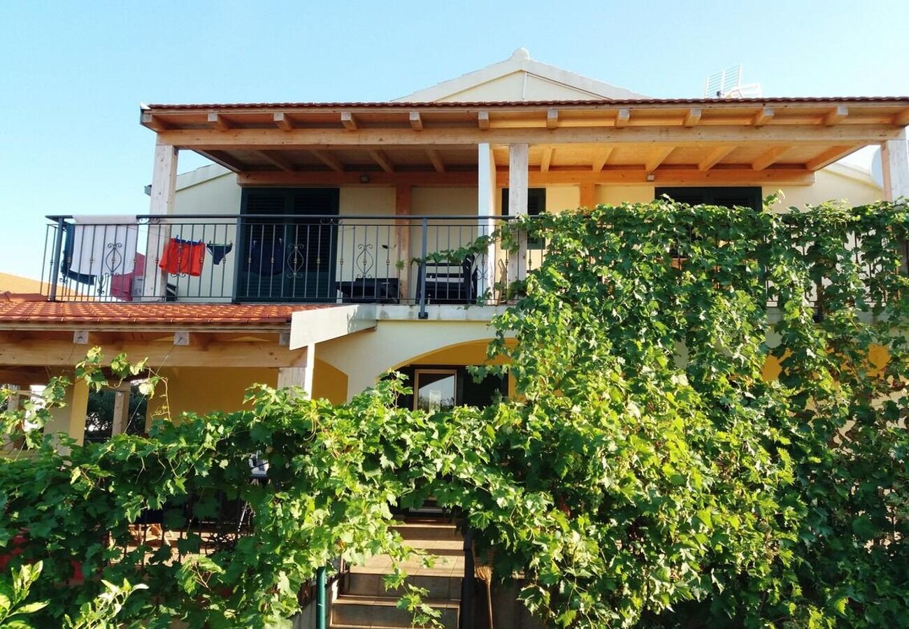 Apartments Ljuba 10777-A2