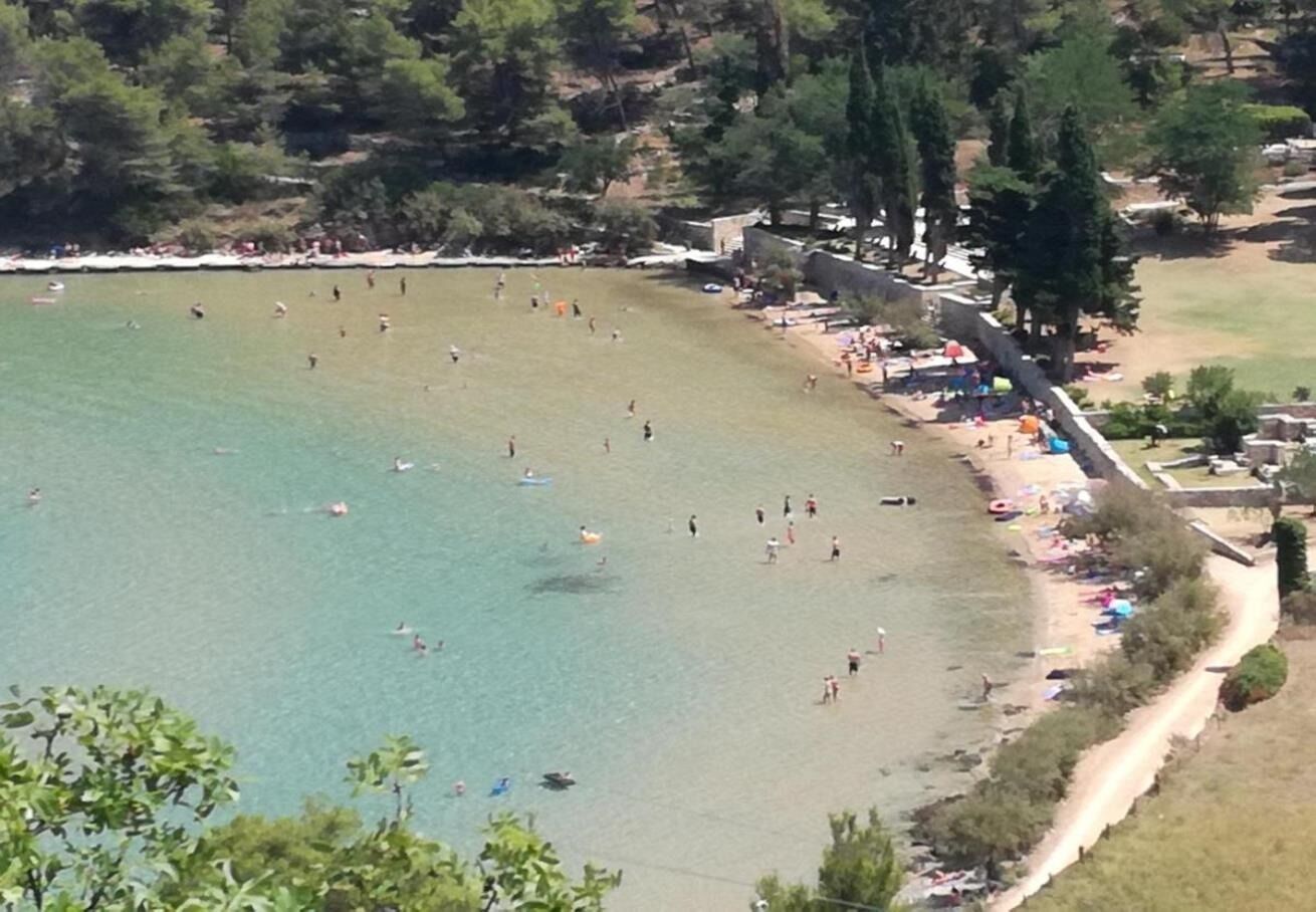 Apartments Damir 107771-A1