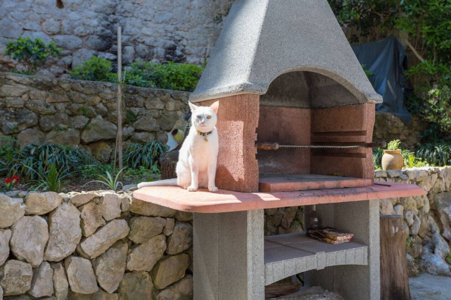 Photo of Apartments Star 2