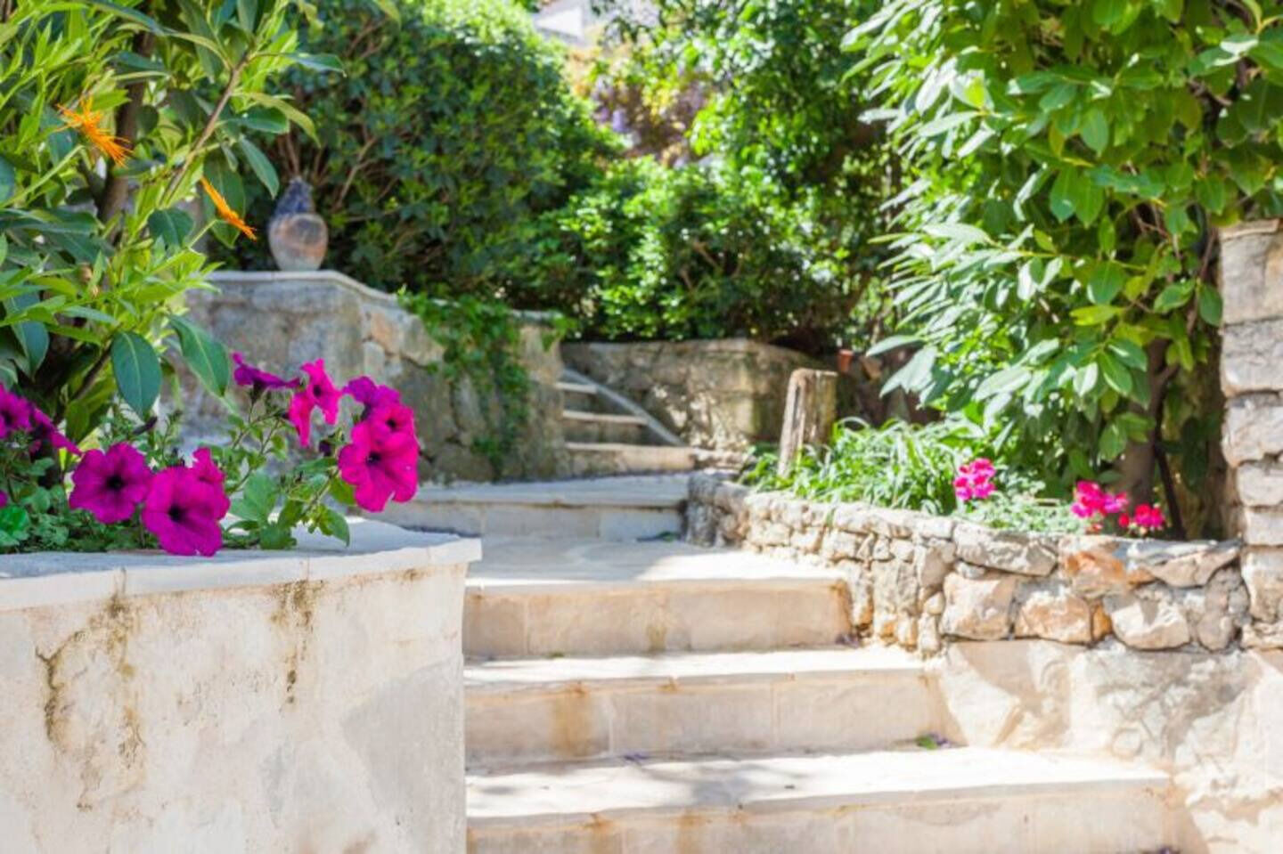 Photo of Apartments Star 2