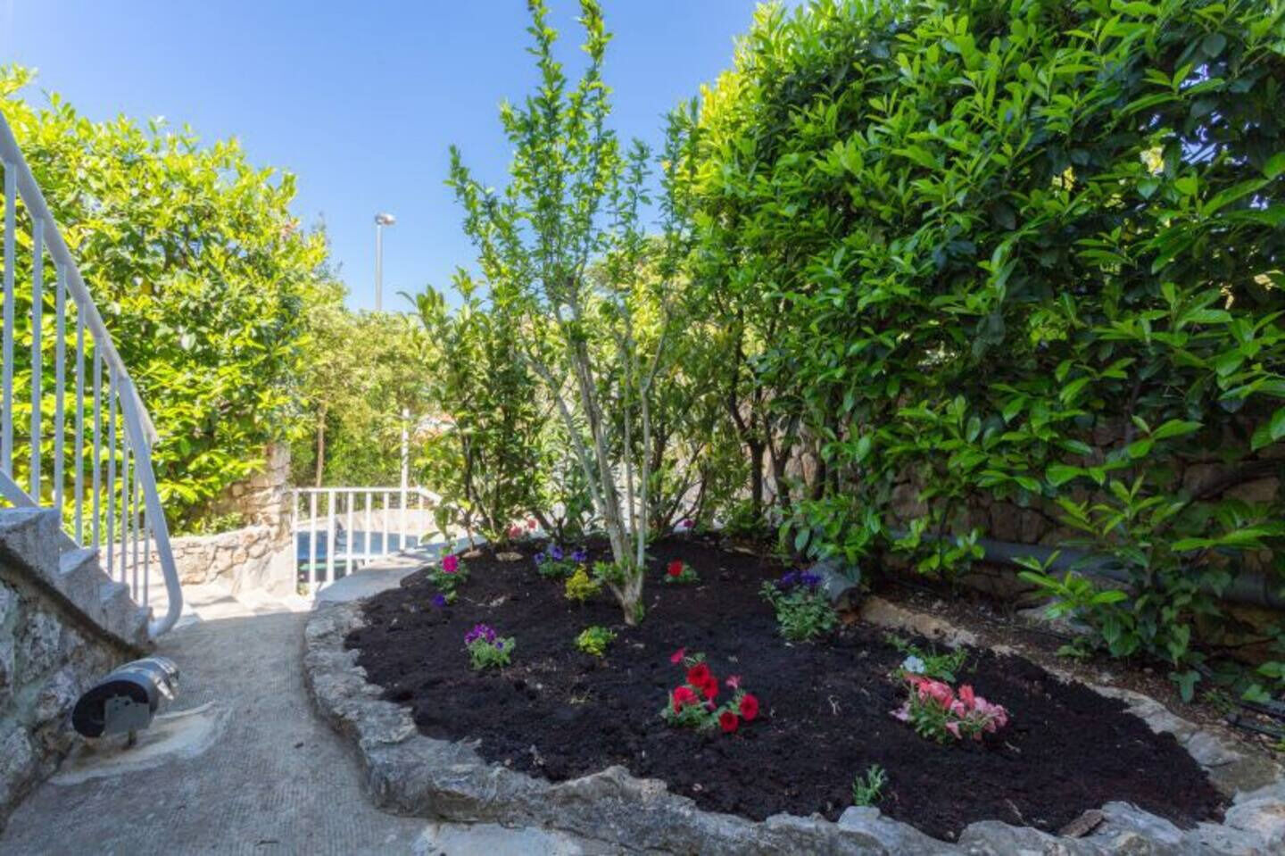 Photo of Apartments Star 2