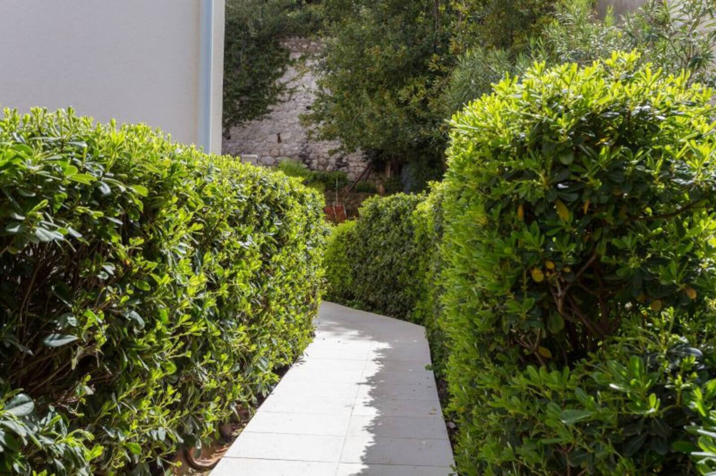 Photo of Apartments Star 2