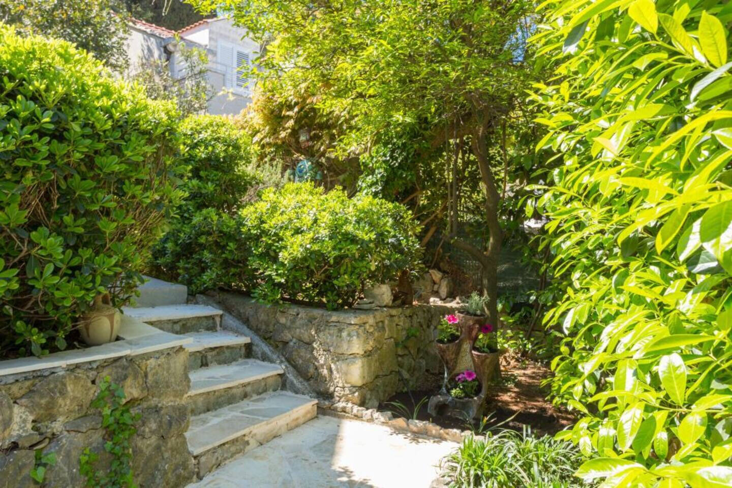 Photo of Apartments Star 2