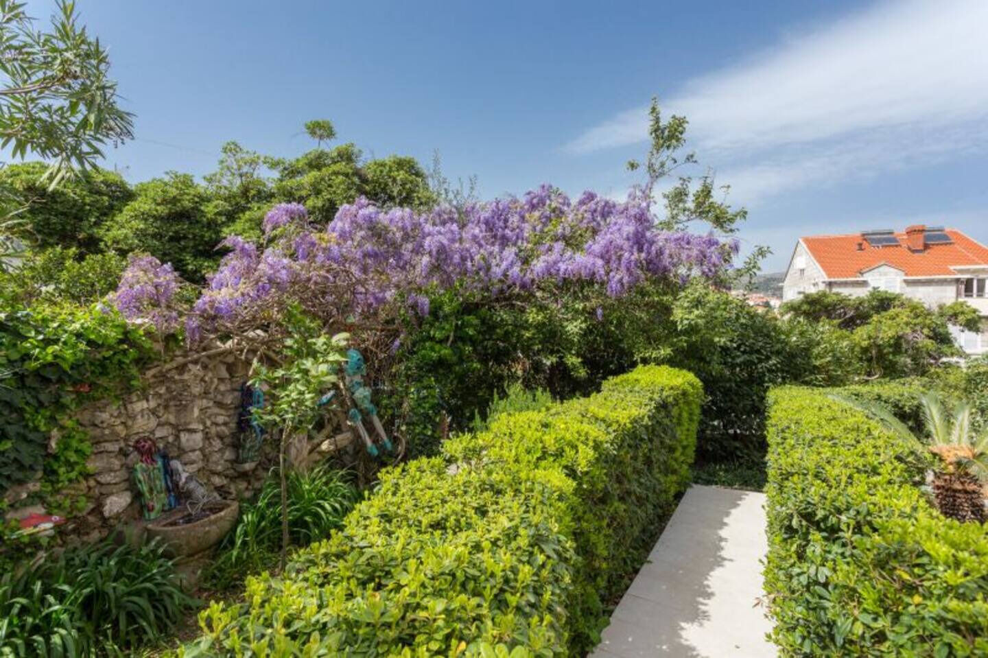 Photo of Apartments Star 2