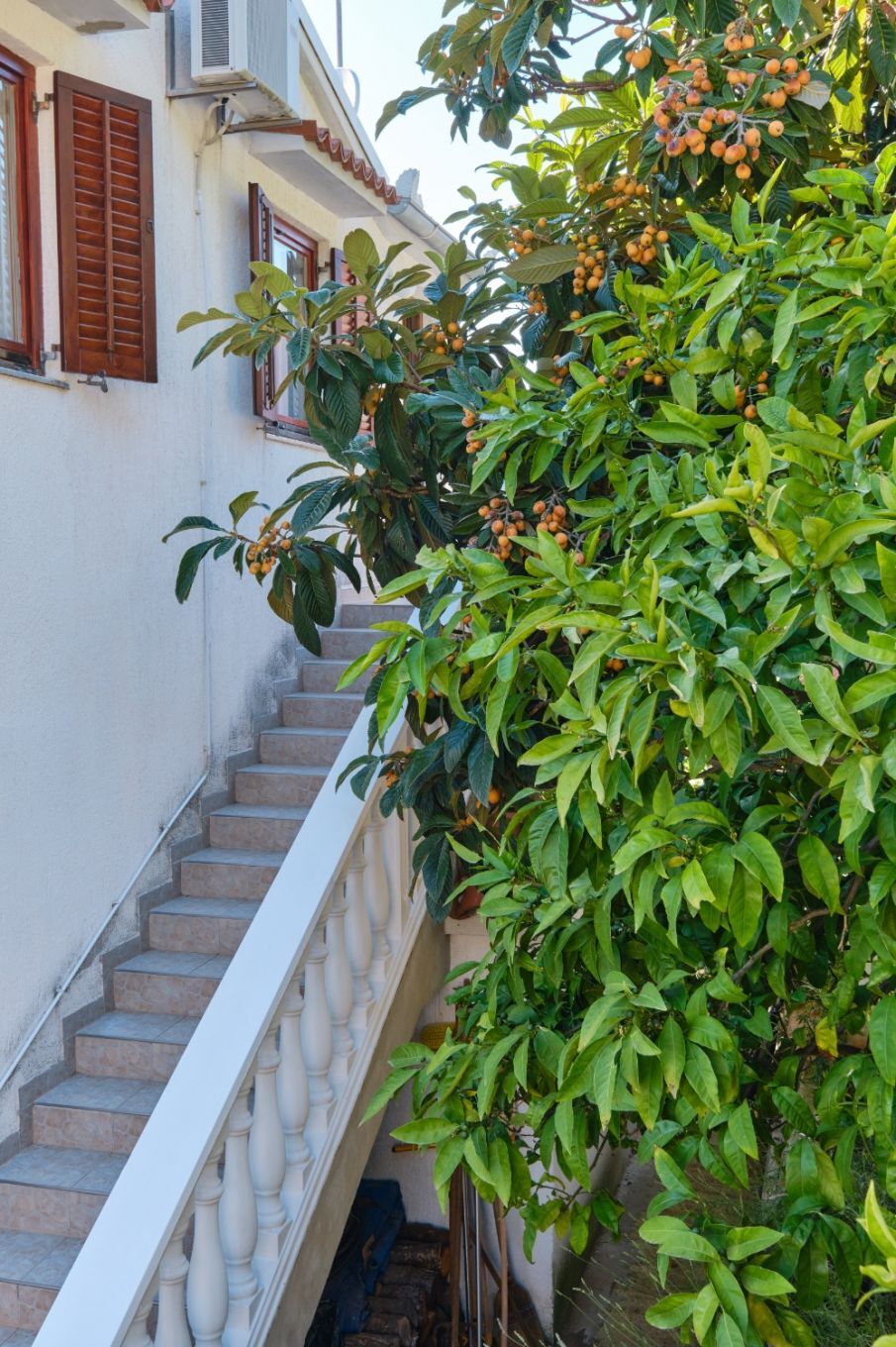 Apartment Luce 10557-A3