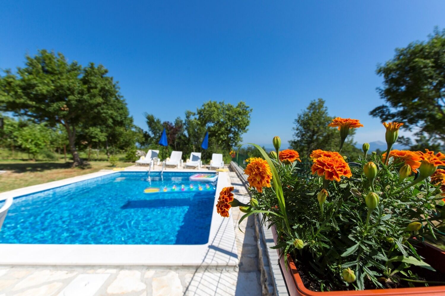 House Josip 107901-K1