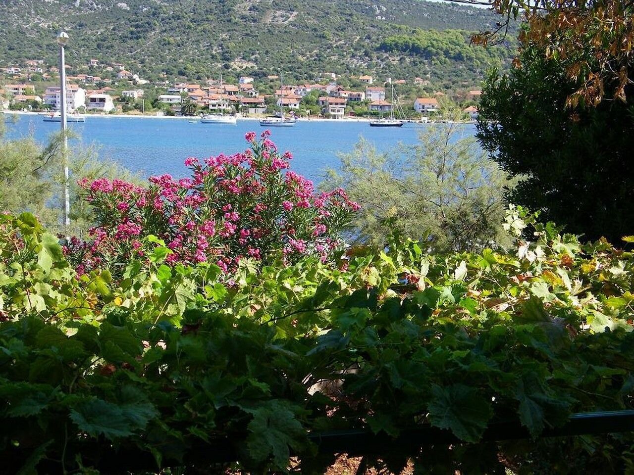 Apartmani Fran A2