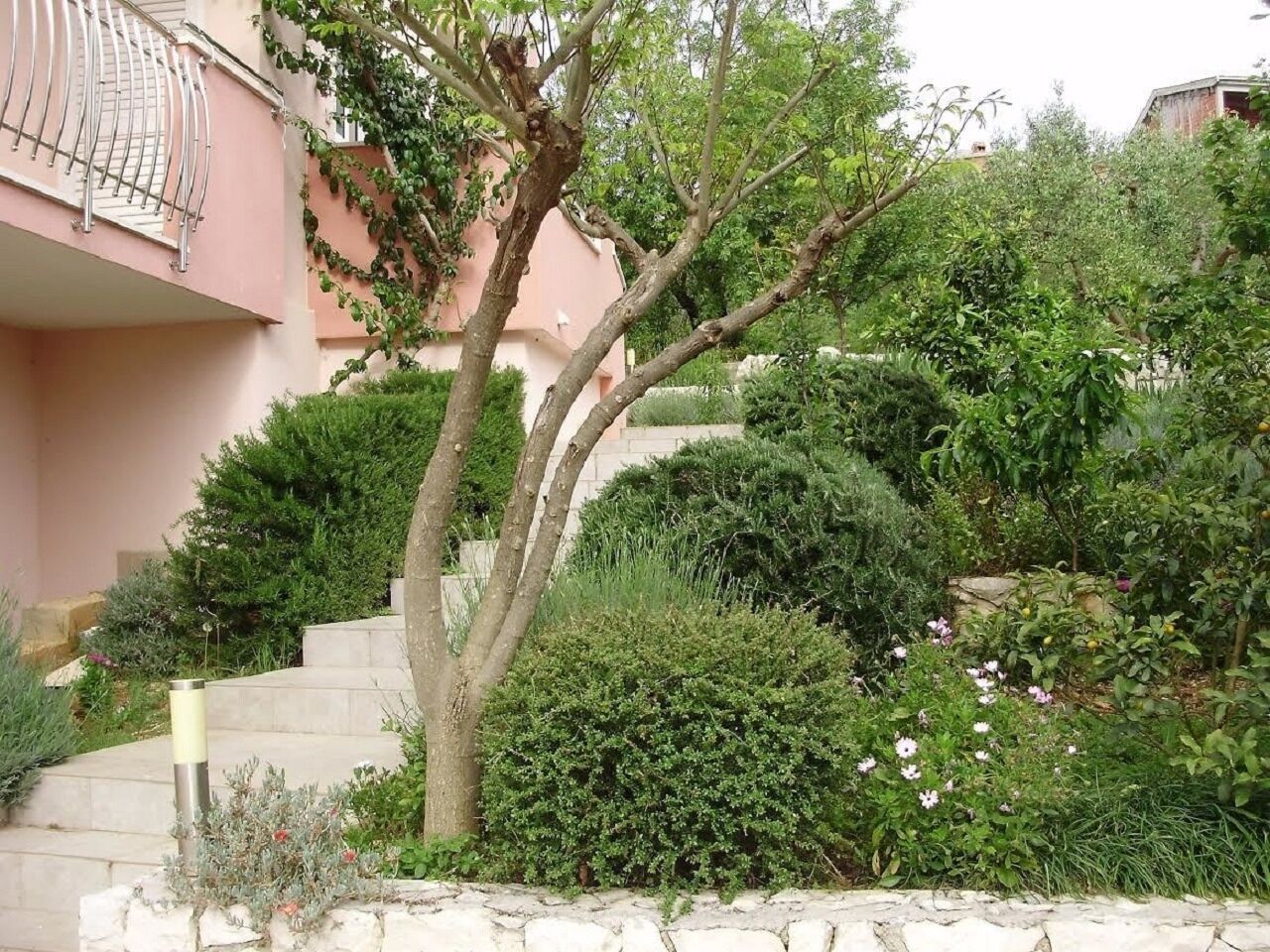Apartments Miroslava 107941-A4