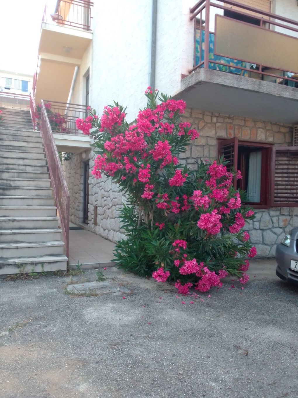 Apartments Ana 108011-A1