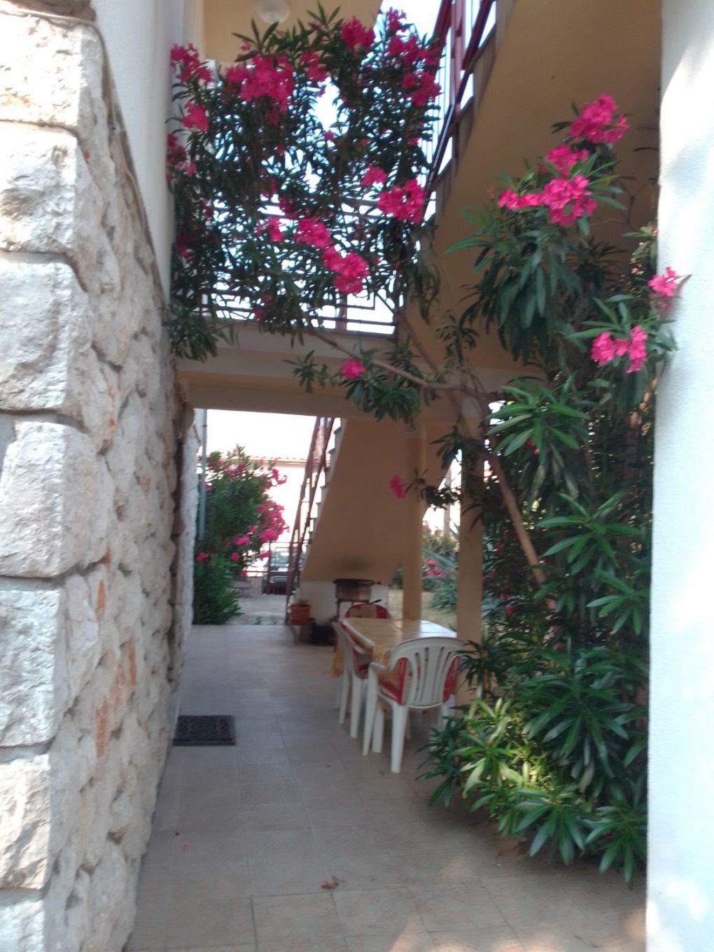 Apartments Ana 108011-A1