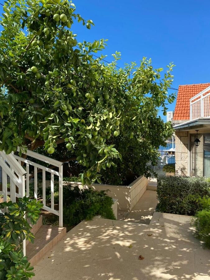 House Linda2 108091-K1